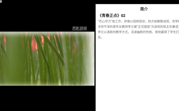 西影视频app下载最新版 西影视频app下载最新版
