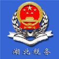 电子税务局