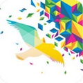 一个奇鸽船新体验最新版