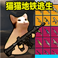 猫猫地铁逃生创游世界版