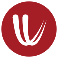 windy下载旧版本