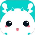 准了app官方版