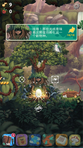 鸟类世界免费下载手机版 鸟类世界免费下载手机版