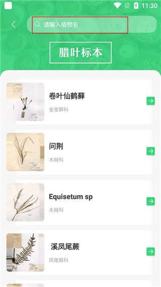 照药镜 照药镜