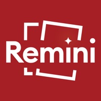 reminipro专业版解锁免费下载
