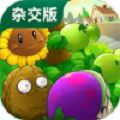 植物大战僵尸杂交版安卓最新版下载直装