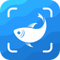 拍照识鱼(PictureFish)安卓版