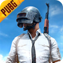 betapubgmobile体验服下载2026最新版