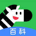 斑马百科安卓版