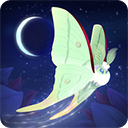彩翼之星夜官方版下载