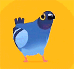 pigeonpop无广告版最新下载