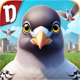 pigeonpop手机版