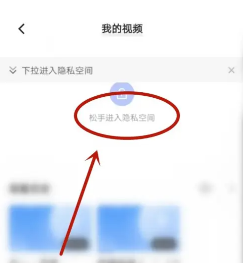 vivo浏览器下载安装2025 vivo浏览器下载安装2025