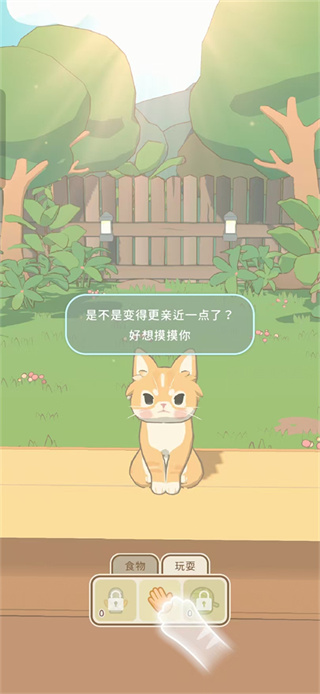 窗外猫 窗外猫