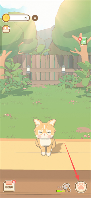 窗外猫 窗外猫