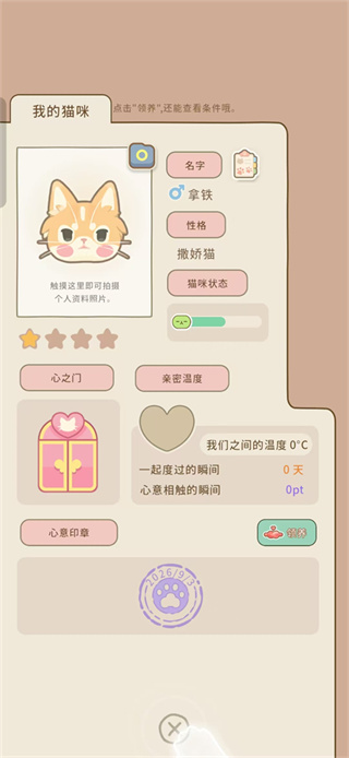 窗外猫 窗外猫