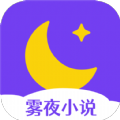 雾夜小说下载