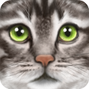 终极猫模拟器无限技能版安卓版