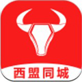 西盟同城安卓版