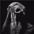 SARCOPH中文联机版
